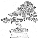 bonsai-winkel.nl- Logo - Reviews